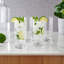 Verres à cocktail Highball 11 oz