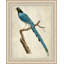 Blue Birds 6 Painting