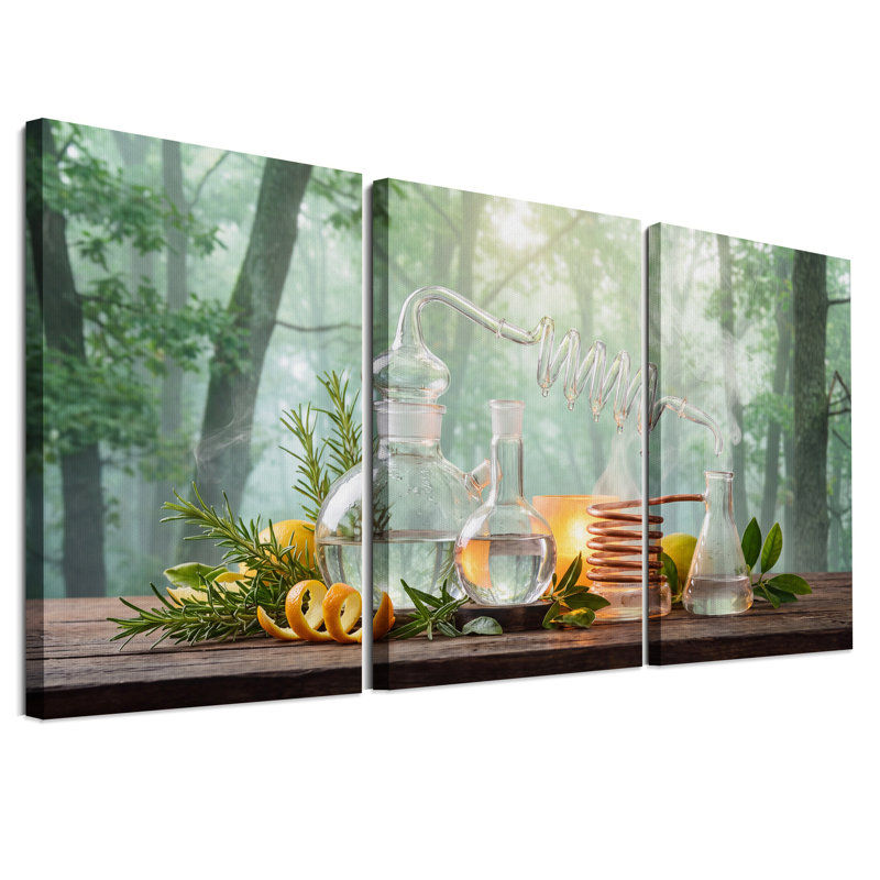«Glass Distillation Apparatus with Rosemary in Forest», ensemble de 3 impressions sur toile, H 24 po x l 16 po x 3 pièces