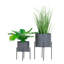 Dommonique Metal Pot Planter