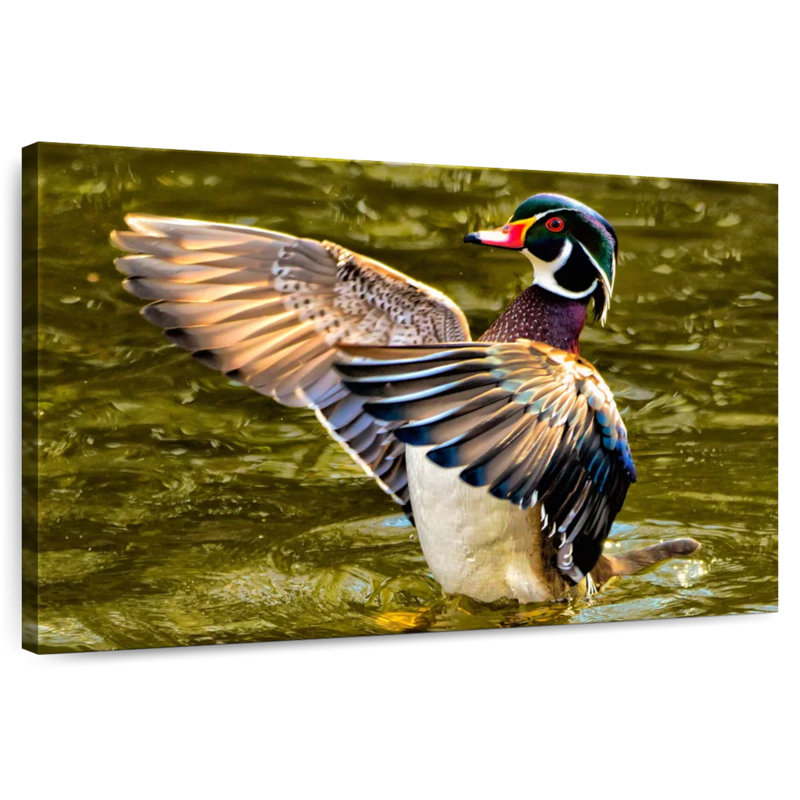 Brampt Duck Flapping Wings, 8" H x 12" W