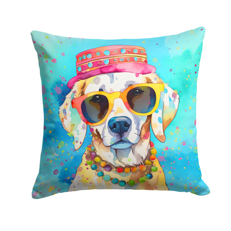 Other/No Pattern Outdoor Throw Pillow