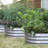Joylynne Metal Raised Garden Bed