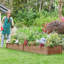 Boîte à fleurs surélevée en bois de sapin Cisbrough-220356619-237982304