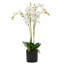 60cm Faux Plant in Pot Liner-101685115