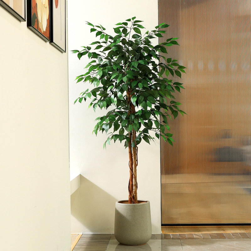 Alitza Faux Tree, 150cm H x 16cm W x 16cm D