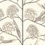 Schumacher x Neisha Crosland Jacob'S Tree Wallpaper-43916458
