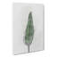 Green Leaf In Abstract - Wrapped Canvas Print-55309566