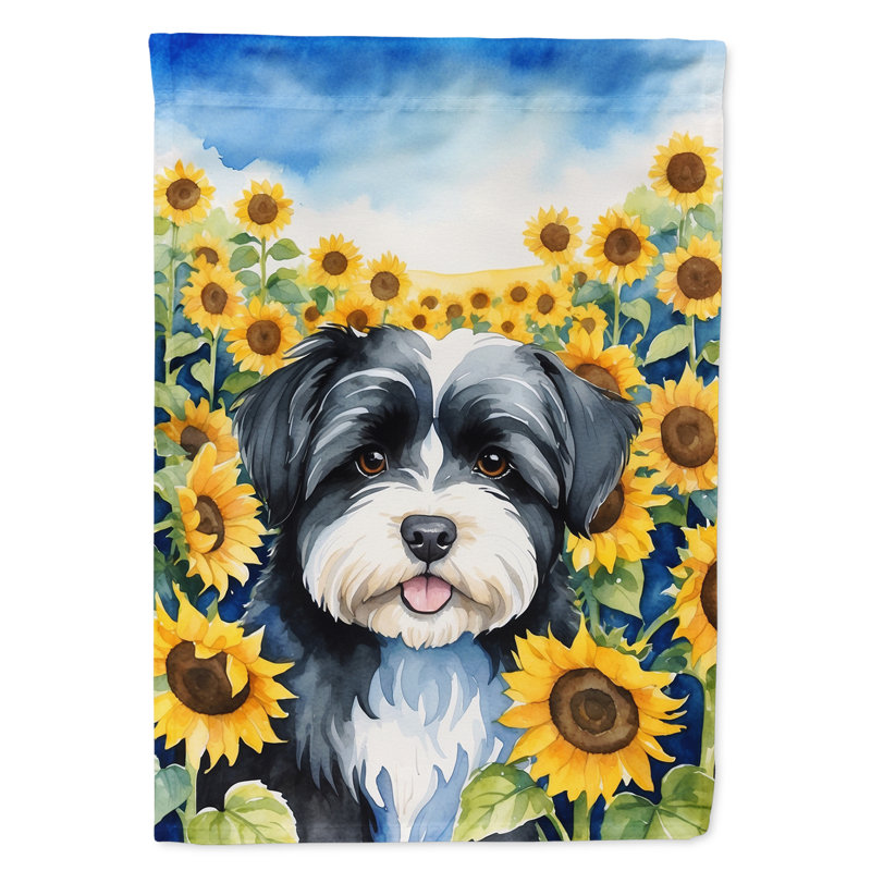 Drapeau de la maison du tournesol Malamute d'Alaska, Bichon havanais