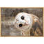 «Bird Bird Curious Owl Look» (Tyto Albahead), tête en gros plan sur toile-93629226-119598470-93629225