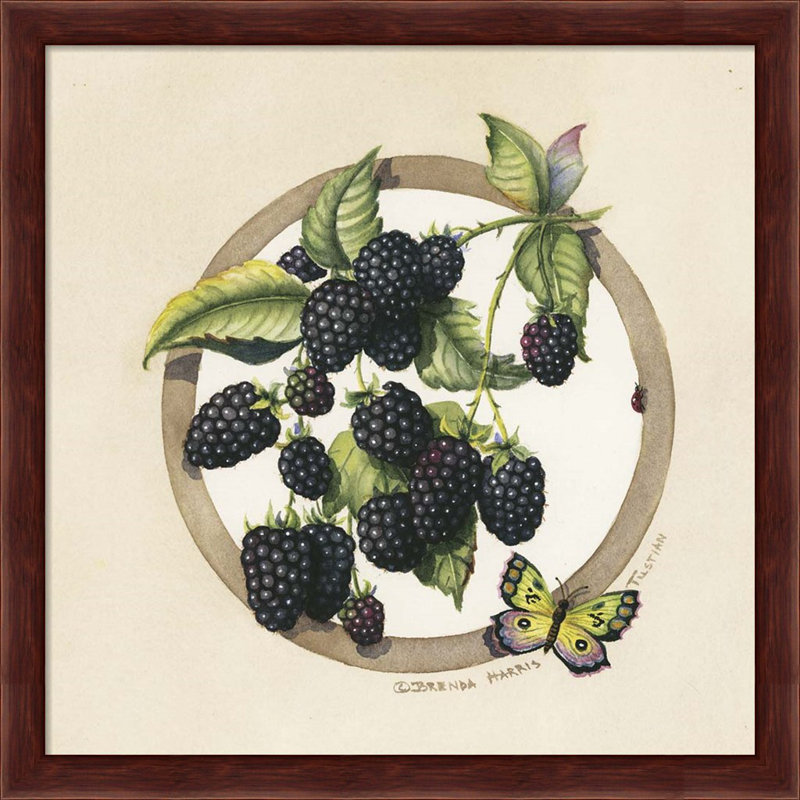 «Blackberries & Blueberries» par Brenda Tustian, art encadré (ensemble de 2)