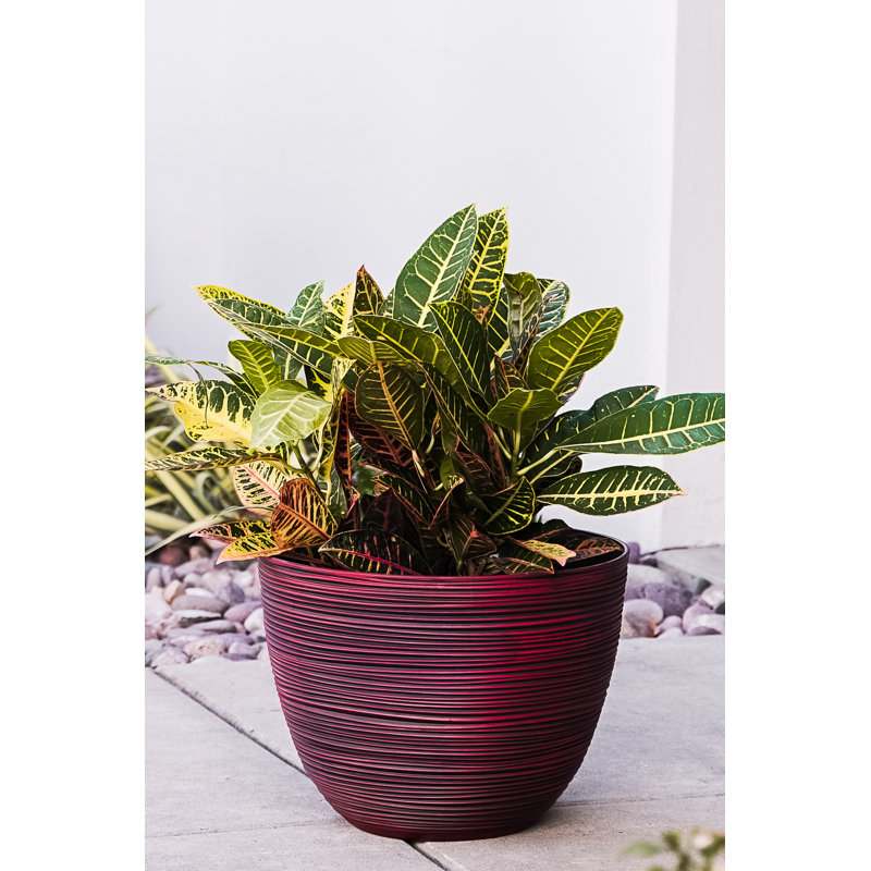 Nil   Pot Planter, Red