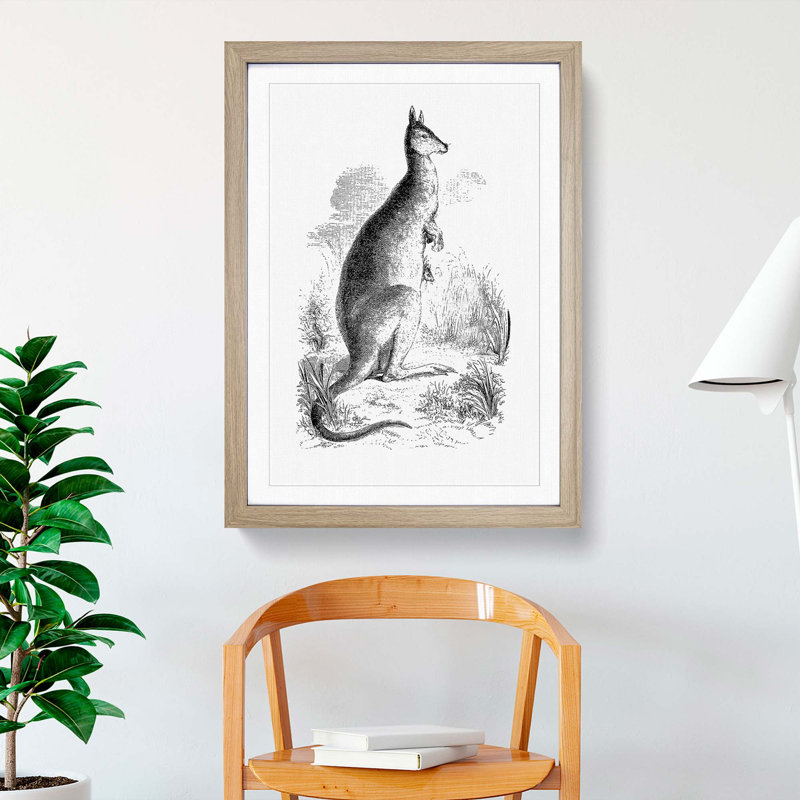 A Kangaroo Illustration in Black & White - Framed Print, 60cm H x 40cm W x 2cm D, Oak