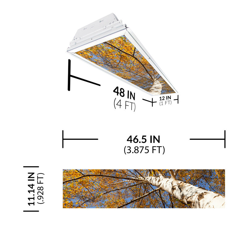 Tree Rectangle Fixture Component Ceiling Light
