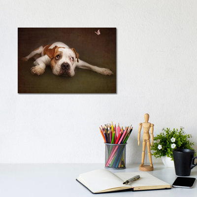Illusion 1 Piece Wrapped Canvas Wall Art