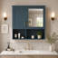 W H Medicine Cabinet Mirror-227041764