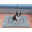 Tapis pour chien sale