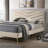 Upholstered Platform Bed-1763609439