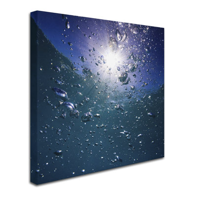 Shadarev 'Bubbles' Photographic Print on Wrapped Canvas