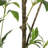 120CMARTIFICIAL PIERIS TREE-1164920490
