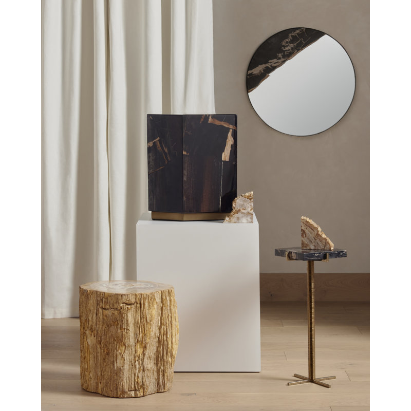 Petrified 2 Piece Wood Book End Set