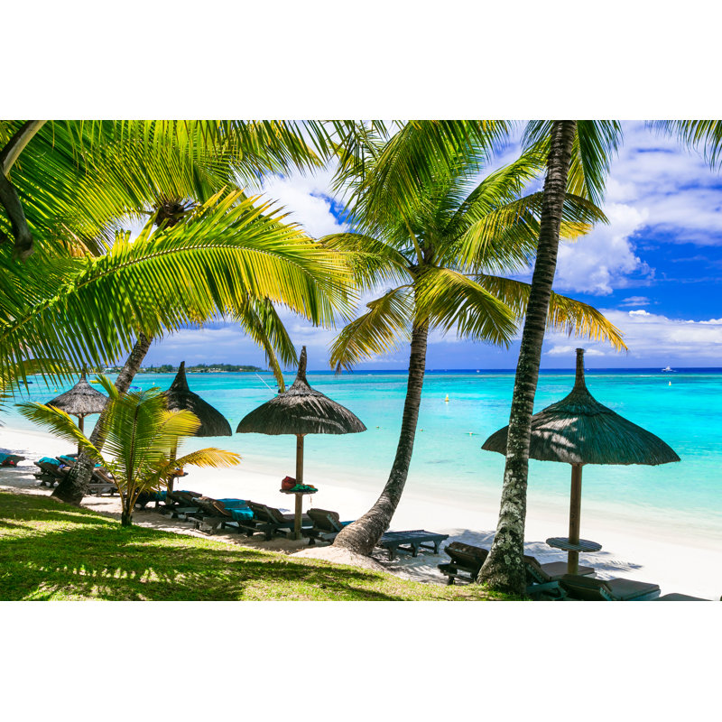 Beautiful Palm Beach - Wrapped Canvas Print, 30cm H x 46cm W x 3.8cm D