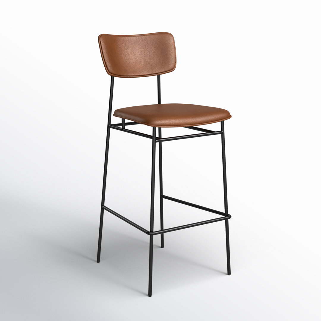 Turin Leather Bar & Counter Stool AllModern 