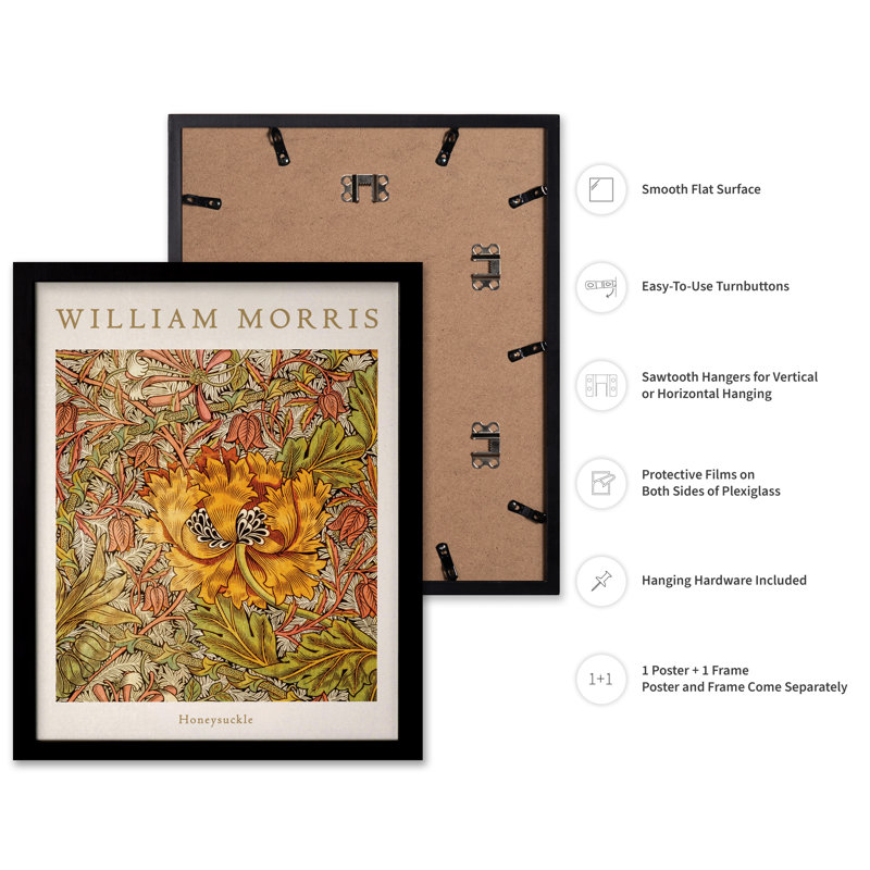 William Morris - Chèvrefeuille n ° 4, Cadre noir, Affiche, H 11 po x l 14 po