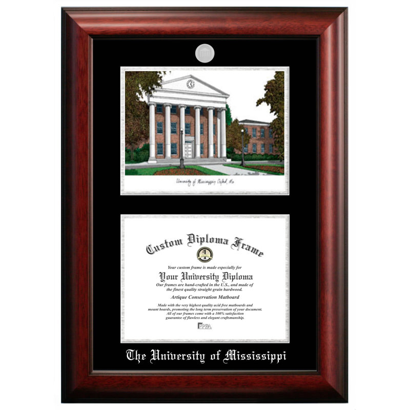 Cadre de la NCAA Towson Tigers, Brun, 9 po x 12 po