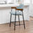 Devane Upholstered Counter Stool With Armrest-123161738