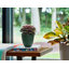 Jardinière intérieure / extérieure en plastique recyclé Dayton avec soucoupe attachée-1262089972-1215370455
