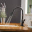 Robinet de cuisine rétractable à poignée simple avec accessoires-59589848