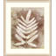 Routt Ferns 4 Painting