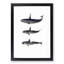 Orca Killer Whales by C.M. Scammon - Picture Frame Graphic Art Print-55616329-55616330