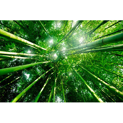 «In My World», reproduction de photo