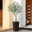 Olive artificielle Adcock résistante aux rayons UV avec grand pot de fleurs, olivier artificiel pour la décoration extérieure-1310085053-1315299339