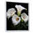 Cadre flottant blanc