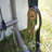 Round Style Shelter, Green Cover-9748795-9748753