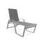 Holna Outdoor Rust-Resistant Metal Chaise Lounge