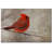 " Cardinal In Winter "-17694052