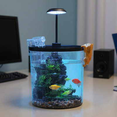 Ensemble de démarrage pour petit aquarium 1,5 gallons, aquarium en plastique avec lumière DEL, filtre et pompe à oxygène, cadeaux