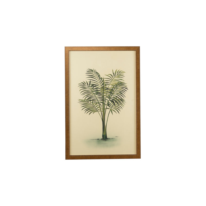 Plants & Flowers Print
