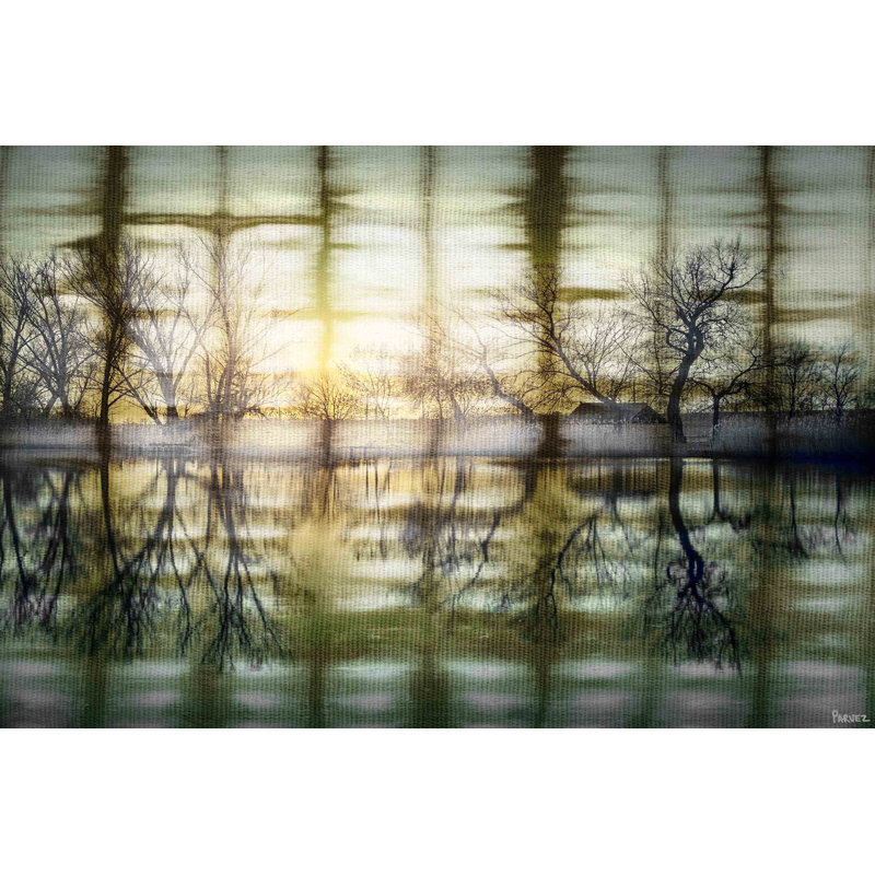 Parvez Taj - Wrapped Canvas Print, 51cm H x 76cm W