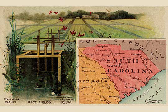 « south caroline » par arbuckle brothers, impression, H 28 po x l 42 po x P 1,5 po