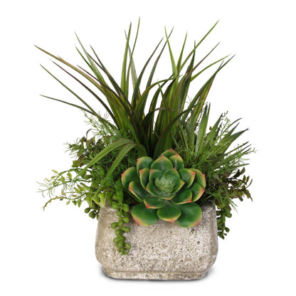 Faux Succulent Plant in Stone Pot