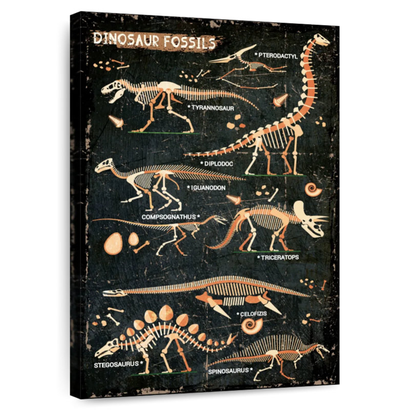 Tableau des fossiles de dinosaures Ashelle, H 51 po x l 34 po