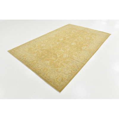 Tapis brun clair 6 x 9 Parnell
