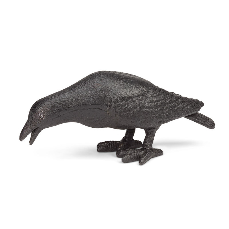 Tête de corbeau