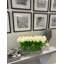 Tulip Stems in Vase-1925685573