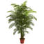 Résistant aux rayons UV (intérieur / extérieur) Sommer Areca Palm-2066716758